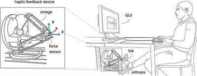 Human's Capability to Discriminate Spatial Forces at the Big Toe